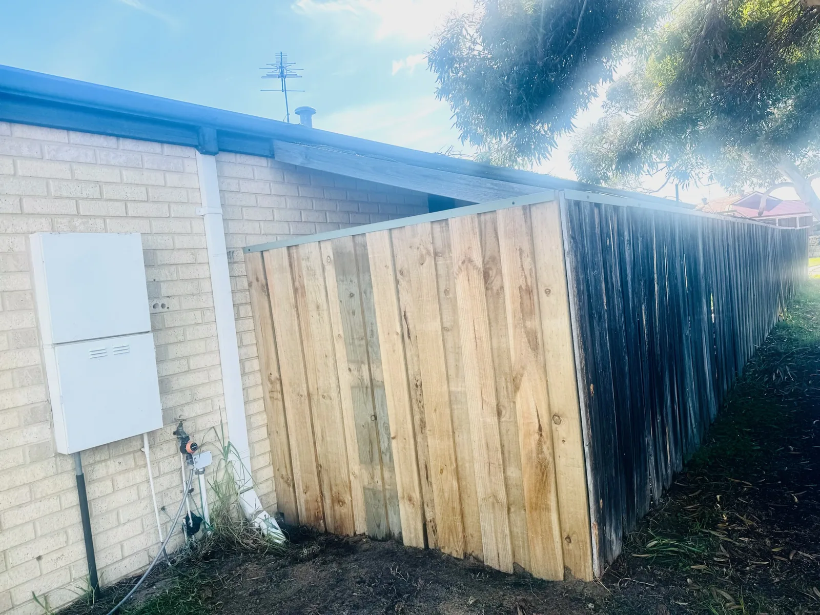 Refreshed timber fence after repairs